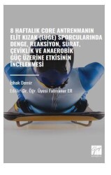 8 Haftalık Core Antrenmanın Elit Kızak Luge Sporcularında Denge, Reaksiyon, Sürat, Çeviklik Ve Anaerobik Güç Üzerine Etkisinin İncelenmesi - 1