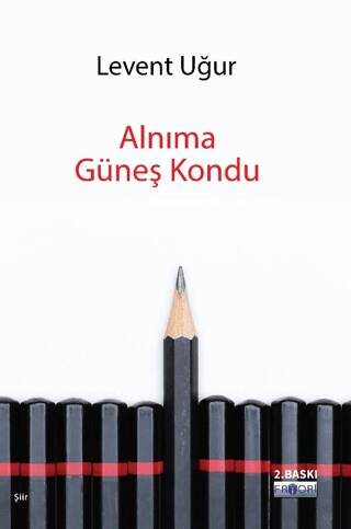 Alnıma Güneş Kondu - 1