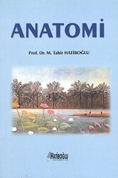 Anatomi - 1