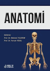 Anatomi - 1