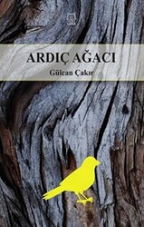 Ardıç Ağacı - 1