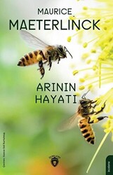 Arının Hayatı - 1