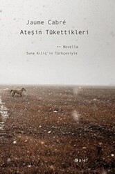 Ateşin Tükettikleri - 1