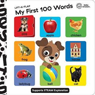 Baby Einstein: Lift A Flap My First 100 Words - 1