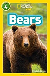 Bears: Level 4 - 1