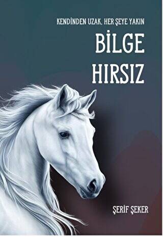 Bilge Hırsız - 1