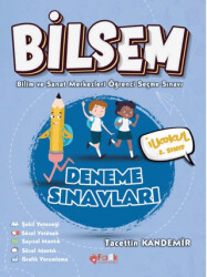 Bilsem 2 Deneme Sınavları - 1