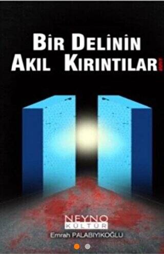 Bir Delinin Akıl Kırıntıları - 1