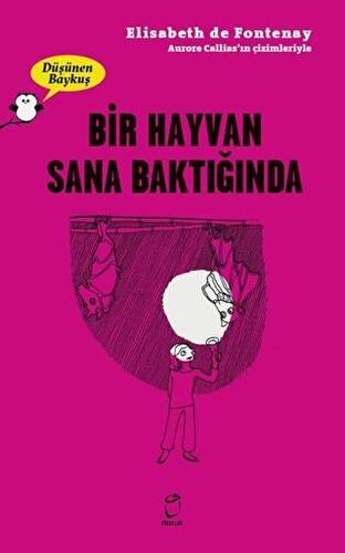 Bir Hayvan Sana Baktiğinda - Düşünen Baykuş - 1