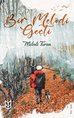 Bir Melodi Geçti - 1