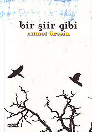 Bir Şiir Gibi - 1