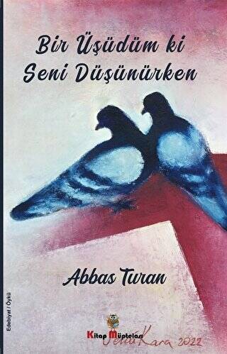 Bir Üşüdüm ki Seni Düşünürken - 1