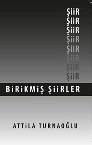 Birikmiş Şiirler - 1