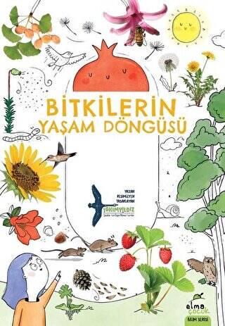 Bitkilerin Yaşam Döngüsü - 1