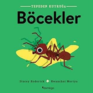 Böcekler - Tepeden Kuyruğa - 1