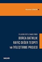 Borca Batıklık, Rayiç Değer Tespiti ve İyileştirme Projesi - 1