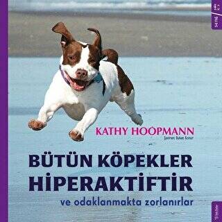 Bütün Köpekler Hiperaktiftir ve Odaklanmakta Zorlanırlar - 1