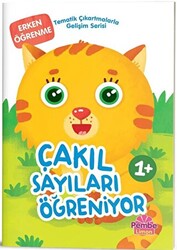 Çakıl Sayıları Öğreniyor - 1