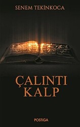 Çalıntı Kalp - 1