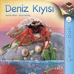 Çevir Bak - Deniz Kıyısı - 1