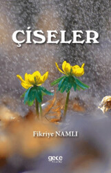 Çiseler - 1