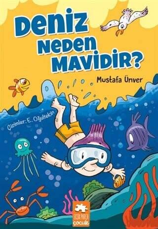 Deniz Neden Mavidir? - 1