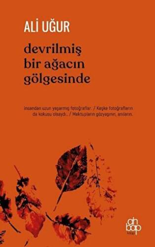 Devrilmiş Bir Ağacın Gölgesinde - 1