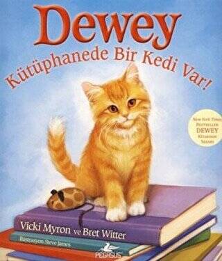 Dewey - Kütüphanede Bir Kedi Var! - 1