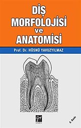 Diş Morfolojisi ve Anatomisi - 1