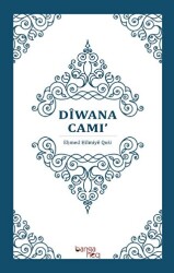 Diwana Cami - 1