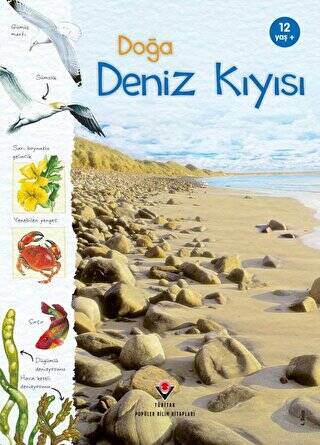 Doğa: Deniz Kıyısı - 1