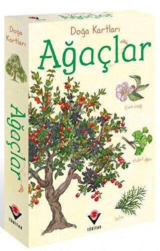 Doğa Kartları - Ağaçlar - 1