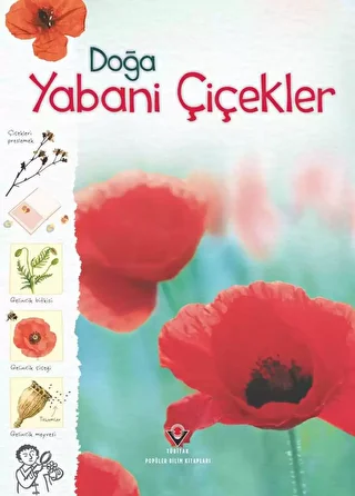 Doğa - Yabani Çiçekler - 1