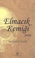 Elmacık Kemiği - 1