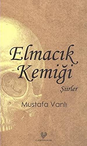 Elmacık Kemiği - 1