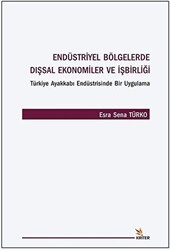 Endüstriyel Bölgelerde Dışsal Ekonomiler ve İşbirliği - 1