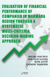 Evaluation of Financial Performance of Companies in Marmara Region Through A Systematic Multi-Criteria Decision-Making Approach - 1