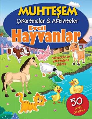 Evcil Hayvanlar - Muhteşem Çıkartmalar ve Aktiviteler - 1