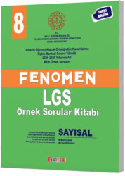 Fenomen 8 MEB Sayısal Örnek Sorular - 1