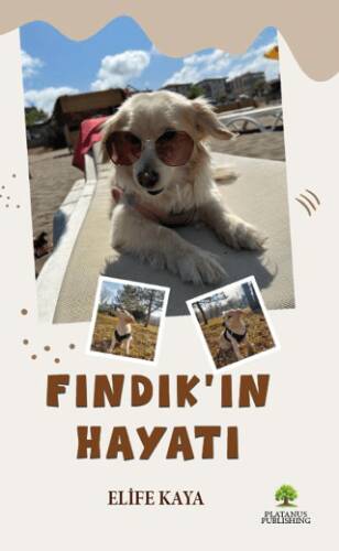 Fındık’ın Hayatı - 1