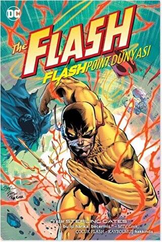 Flash Flashpoint Dünyası - 1