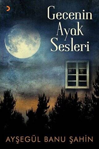 Gecenin Ayak Sesleri - 1