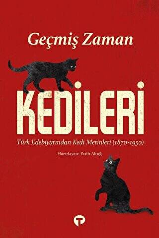 Geçmiş Zaman Kedileri - 1