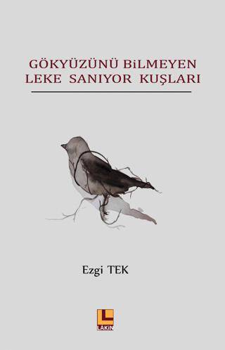 Gökyüzünü Bilmeyen Leke Sanıyor Kuşları - 1