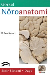 Görsel Nöroanatomi - 1