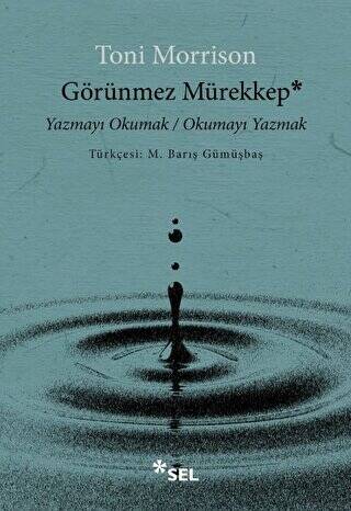 Görünmez Mürekkep: Yazmayı Okumak - Okumayı Yazmak - 1