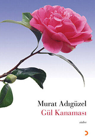 Gül Kanaması - 1