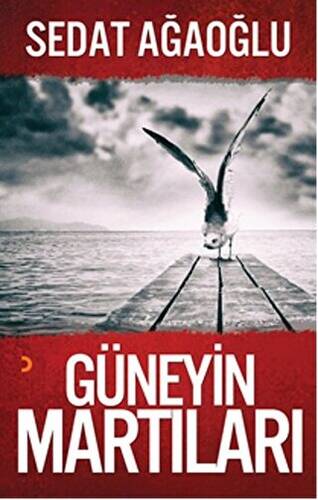 Güneyin Martıları - 1