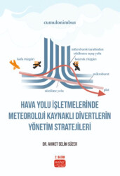 Hava Yolu İşletmelerinde Meteoroloji Kaynaklı Divertlerin Yönetim Stratejileri - 1