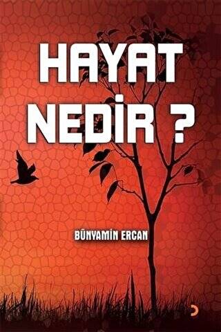 Hayat Nedir? - 1